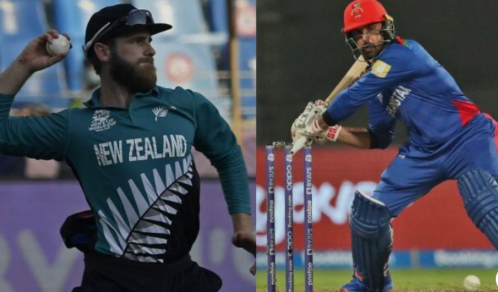 Afghanistan National Cricket Team Vs New Zealand National Cricket Team Stats